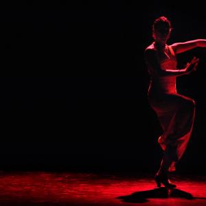 Fotografía de Asociación Tiempo Presente: Arcoiris de estilos - Grupo de Danza Tiempo Presente