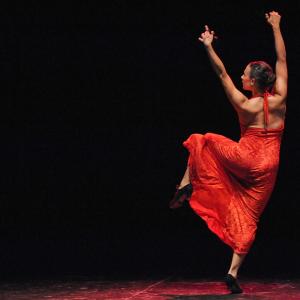 Fotografía de Asociación Tiempo Presente: Arcoiris de estilos - Grupo de Danza Tiempo Presente
