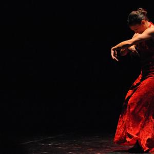 Fotografía de Asociación Tiempo Presente: Arcoiris de estilos - Grupo de Danza Tiempo Presente