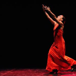 Fotografía de Asociación Tiempo Presente: Arcoiris de estilos - Grupo de Danza Tiempo Presente