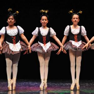 Fotografía de Asociación Tiempo Presente: Arcoiris de estilos - Grupo de Danza Tiempo Presente