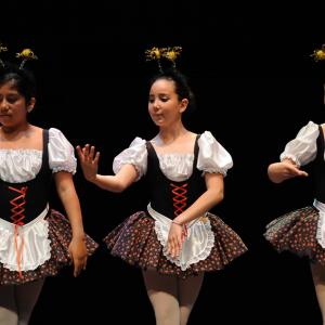 Fotografía de Asociación Tiempo Presente: Arcoiris de estilos - Grupo de Danza Tiempo Presente