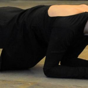 Fotografía de A propósito de Lynch, performance en el Museo de Bellas Artes de Granada - 