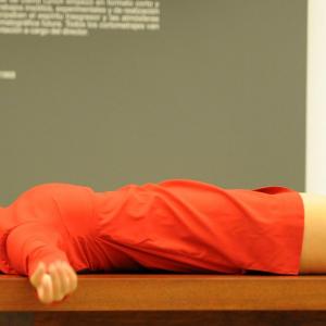 Fotografía de A propósito de Lynch, performance en el Museo de Bellas Artes de Granada - 