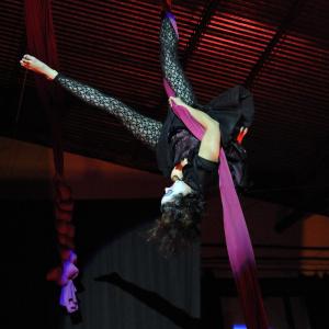 Fotografía de Cabaret Estreyarte en Dilar - Estreyarte