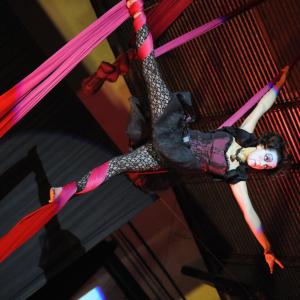 Fotografía de Cabaret Estreyarte en Dilar - Estreyarte
