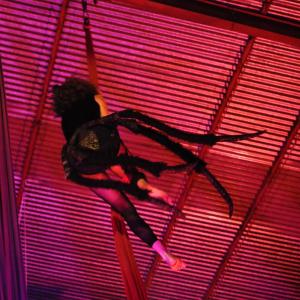 Fotografía de Cabaret Estreyarte en Dilar - Estreyarte