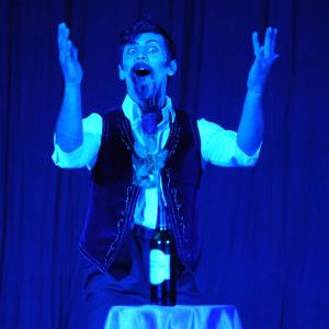 Fotografía de Cabaret Estreyarte en Dilar - Estreyarte