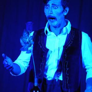 Fotografía de Cabaret Estreyarte en Dilar - Estreyarte
