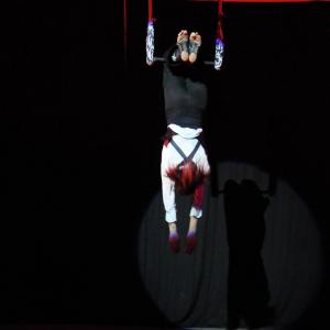 Fotografía de Cabaret Estreyarte en Dilar - Estreyarte