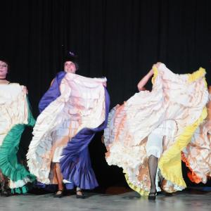Fotografía de Cabaret Estreyarte en Dilar - Estreyarte