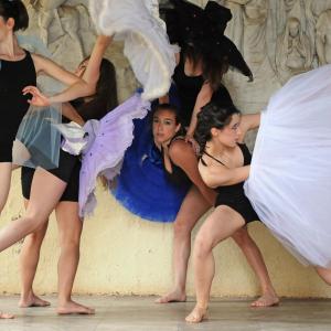 Fotografía de FEX 2010 promoción <i>Cambio de paso</i>, galería 2 - Conservatorio de Danza