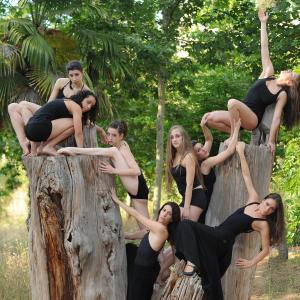 Fotografía de FEX 2010 promoción <i>Cambio de paso</i>, galería 2 - Conservatorio de Danza
