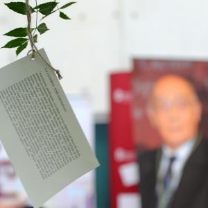 Fotografía de Homenaje a Saramago en la Diputación de Granada - 