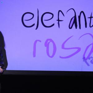 Fotografía de Presentación fanzine 18 de El Elefante rosa - Colectivo el Elefante Rosa