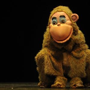 Fotografía de El Príncipe Pablito - La Carpa, Cía teatral
