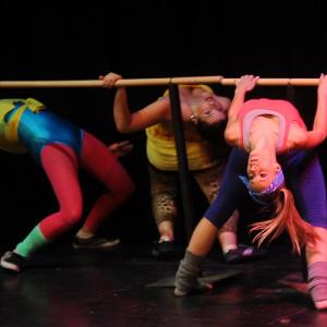 Fotografía de Muestra de Danza La Petite - 