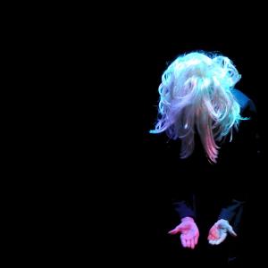 Fotografía de Muestra de Danza La Petite - 