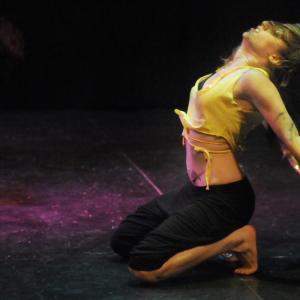 Fotografía de Muestra de Danza La Petite - 
