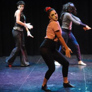 Fotografía de Muestra de Danza La Petite - 