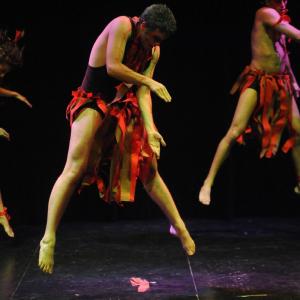 Fotografía de Muestra de Danza La Petite - 