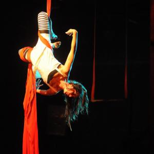 Fotografía de Muestra fin de curso de telas y trapecio en Animasur - CAU