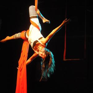 Fotografía de Muestra fin de curso de telas y trapecio en Animasur - CAU