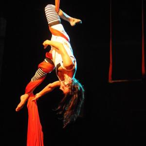 Fotografía de Muestra fin de curso de telas y trapecio en Animasur - CAU