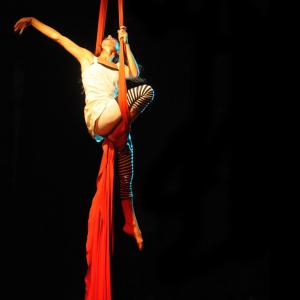 Fotografía de Muestra fin de curso de telas y trapecio en Animasur - CAU