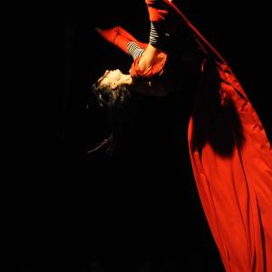 Fotografía de Muestra fin de curso de telas y trapecio en Animasur - CAU