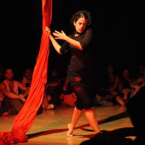 Fotografía de Muestra fin de curso de telas y trapecio en Animasur - CAU