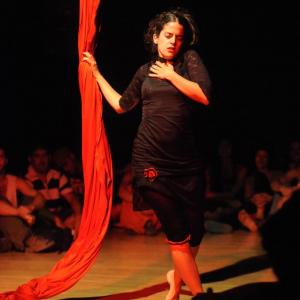 Fotografía de Muestra fin de curso de telas y trapecio en Animasur - CAU