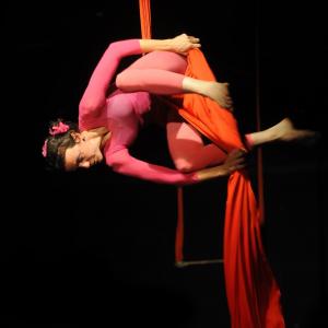 Fotografía de Muestra fin de curso de telas y trapecio en Animasur - CAU