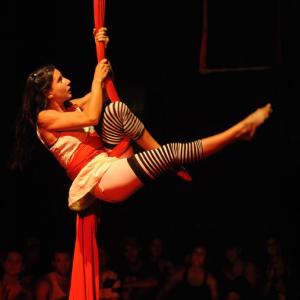 Fotografía de Muestra fin de curso de telas y trapecio en Animasur - CAU