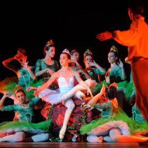 Fotografía de Talleres Danza clásica - Conservatorio de Danza