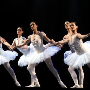 Fotografía de Fin de curso Terpsícore - Terpsícore, Taller de Danza