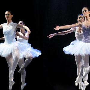 Fotografía de Fin de curso Terpsícore - Terpsícore, Taller de Danza
