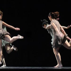 Fotografía de Fin de curso Terpsícore - Terpsícore, Taller de Danza