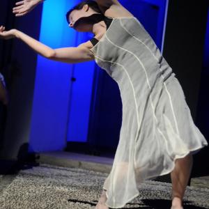 Fotografía de GIF3: Muestra de Butoh en el Museo Casa de los Tiros - GIF