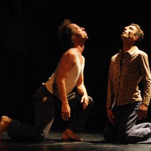 Fotografía de GIF3: Muestra profesores - GIF