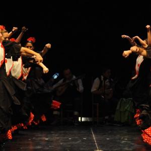 Fotografía de Semana de la oralidad 2009 - 