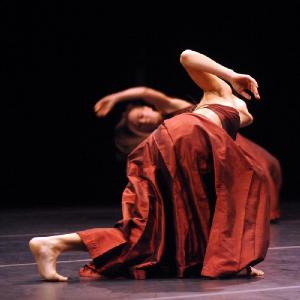 Fotografía de Una orquesta en danza (versión para sala) - Da.Te Danza