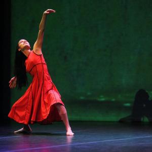 Fotografía de Una orquesta en danza (versión para sala) - Da.Te Danza