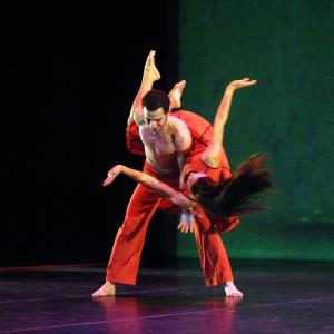 Fotografía de Una orquesta en danza (versión para sala) - Da.Te Danza