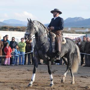 Fotografía de Feria del Caballo en Cúllar - 