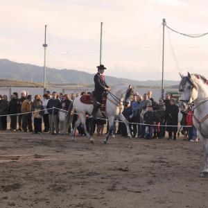 Fotografía de Feria del Caballo en Cúllar - 