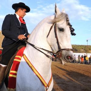 Fotografía de Feria del Caballo en Cúllar - 