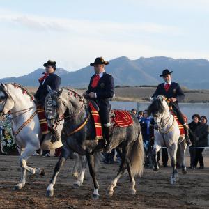 Fotografía de Feria del Caballo en Cúllar - 