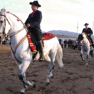 Fotografía de Feria del Caballo en Cúllar - 