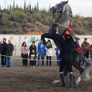 Fotografía de Feria del Caballo en Cúllar - 